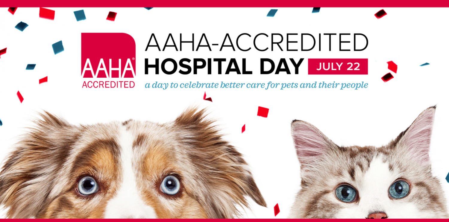 AAHAAccredited Hospital Day A Day to Celebrate Better Care for Pets