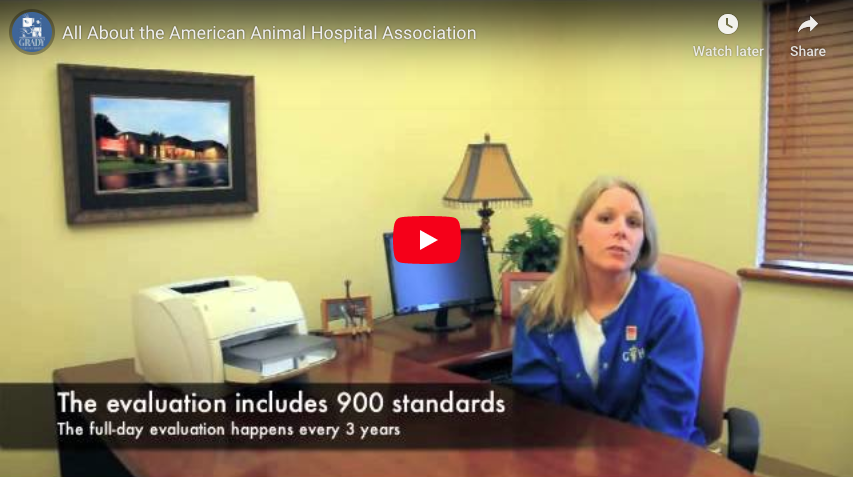 All About the American Animal Hospital Association