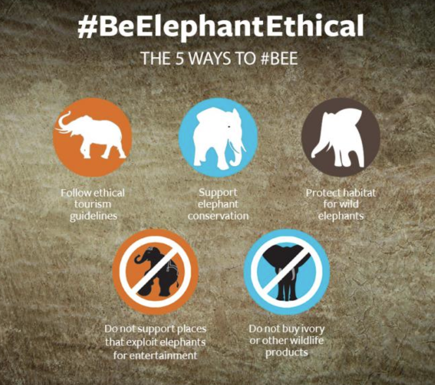 Be Elephant Ethical