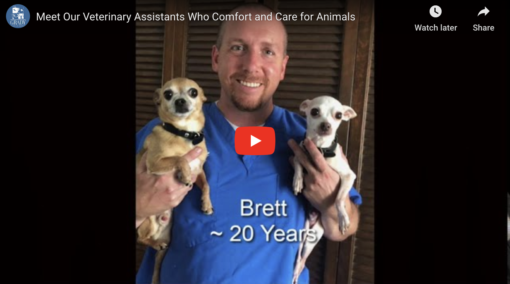 Meet Our Veterinary Assistants Who Comfort and Care for Animals