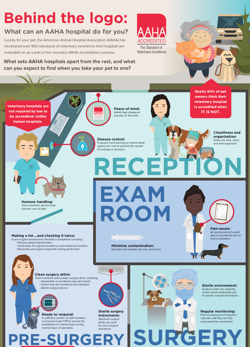 What can an AAHA Hospital do for you?