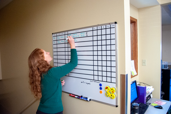 Dr. Beth McElravy at work