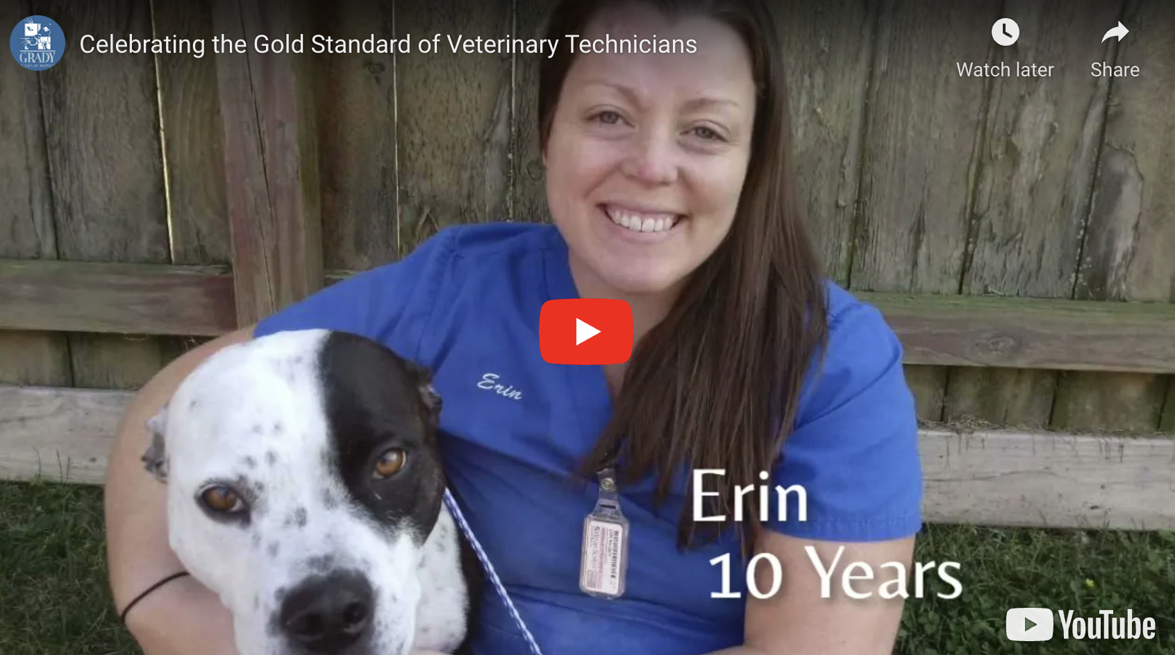 Celebrating the Gold Standard of Veterinary Technicians