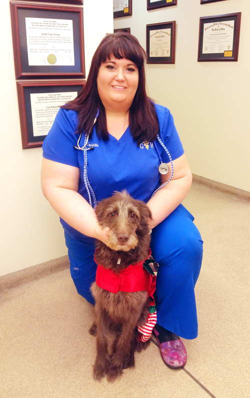 Meet Our Veterinary Technicians