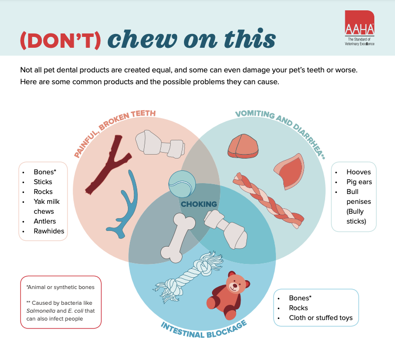 Pet Chew Toys: Not All Products Are Safe