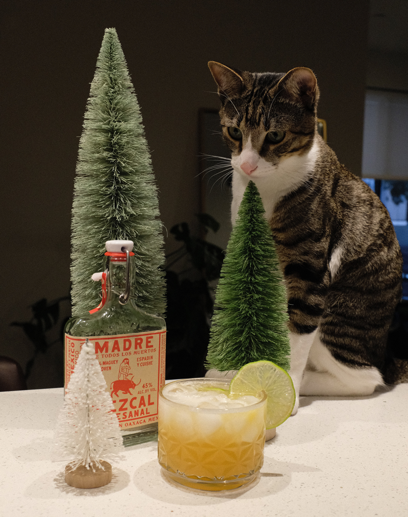 Holiday Pet Safety Tip: