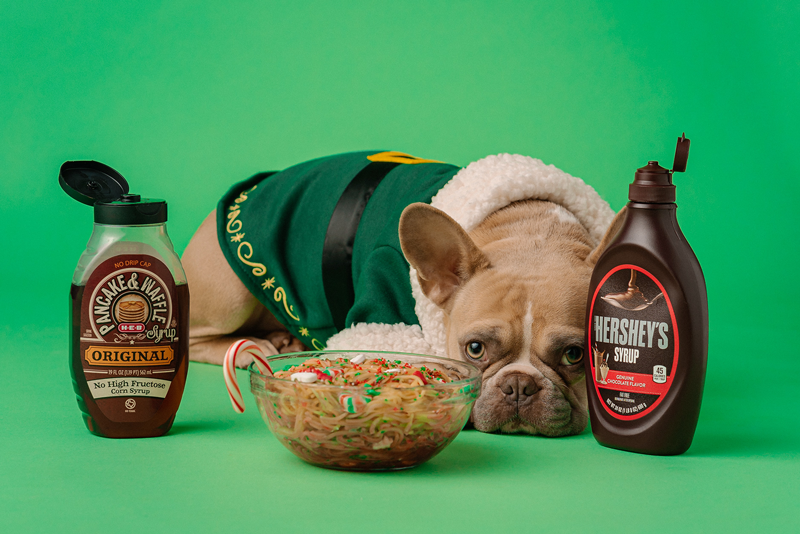 Holiday Pet Safety Tip: