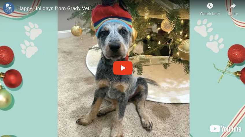 Happy Holidays from Grady Vet!