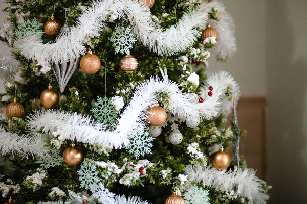 13 Quick Tips to Keep Pets Safe this Holiday Season