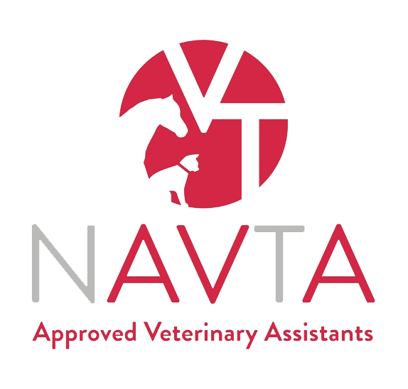 Veterinary Assistant: Could This Be the Career for You?