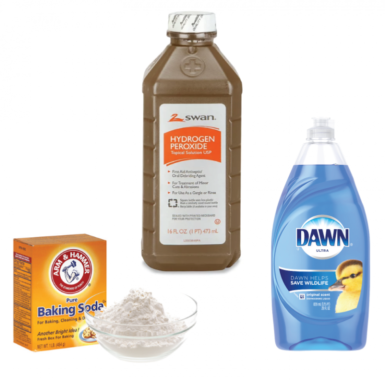 What to Do if Your Pet Gets 'Skunked' Grady Veterinary Hospital