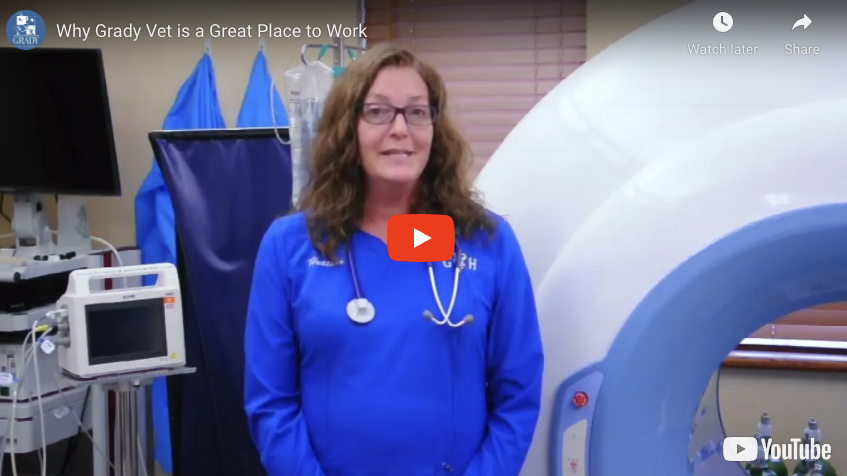 Why Grady Vet is a Great Place to Work