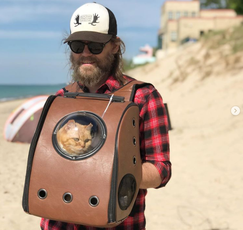 Is Your Cat Yearning for Adventure?