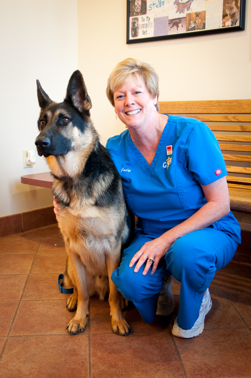 Meet the Veterinary Receptionists of Grady Vet