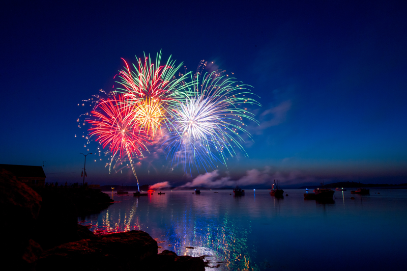 Fireworks and Dogs