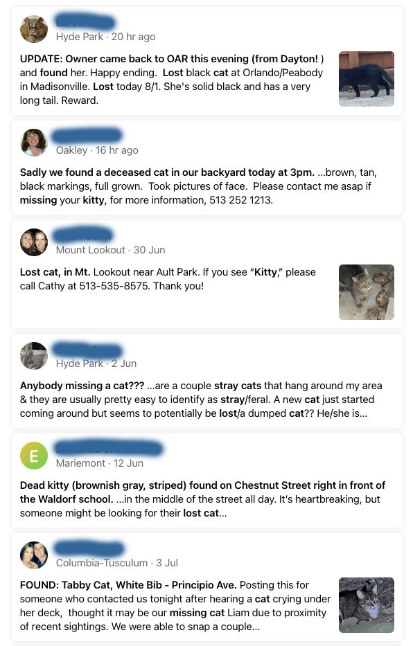 Why Microchip Cats?