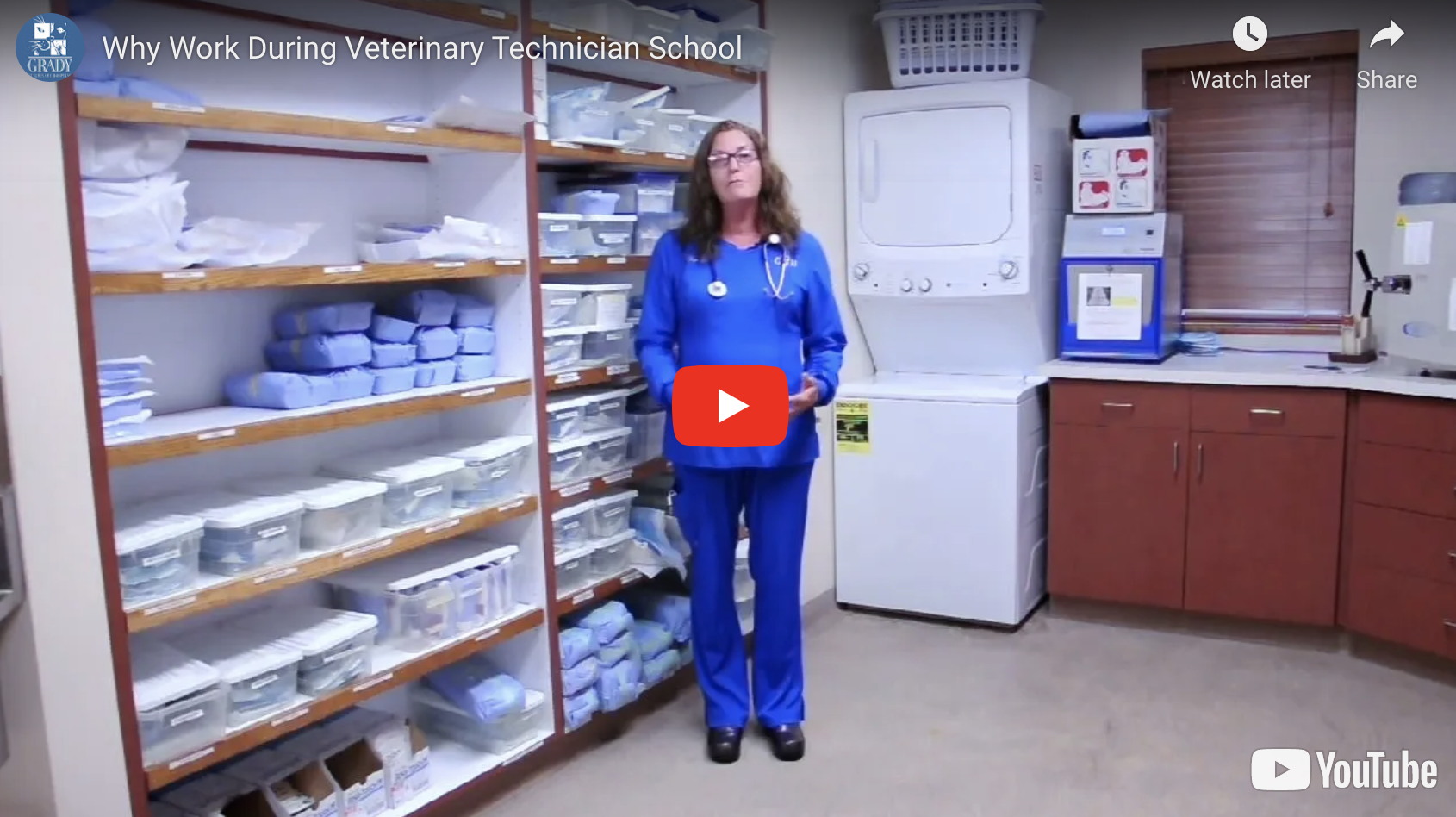 Why Work During Veterinary Technician School
