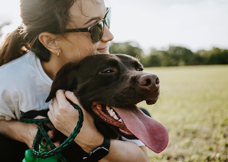 4 Dog Park Reviews (By Real Dogs)