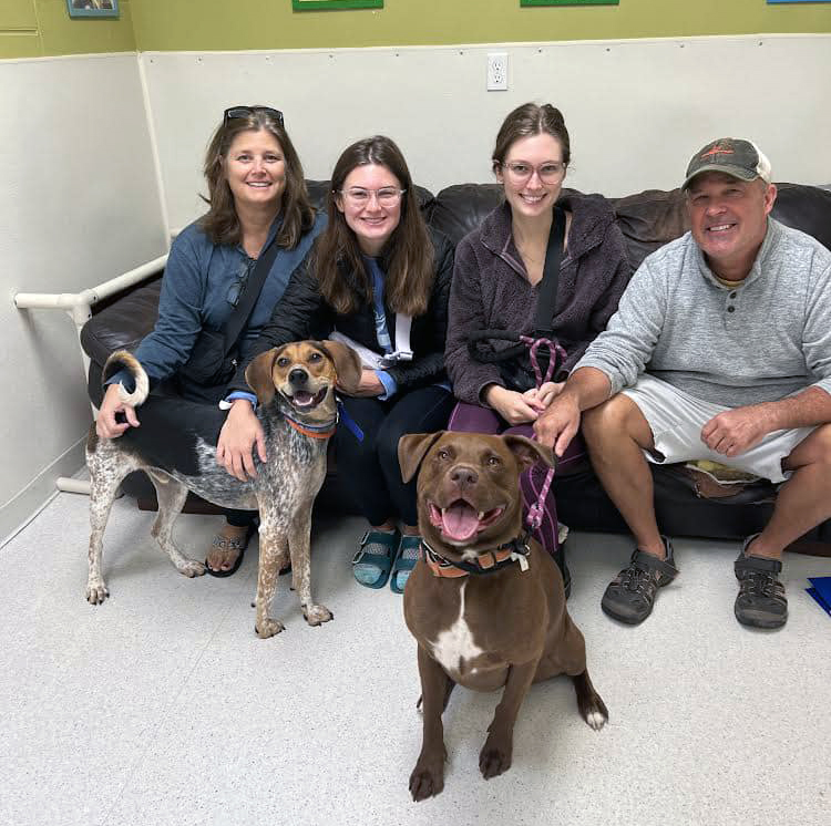 Adopt a Dog in Cincinnati