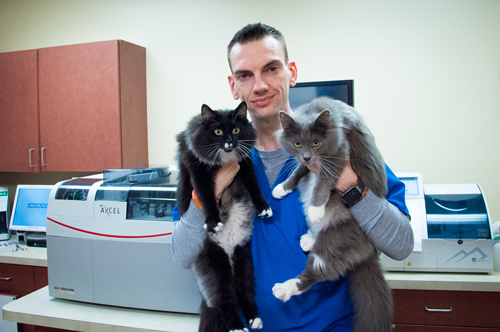 Meet Our Veterinary Technicians 2022