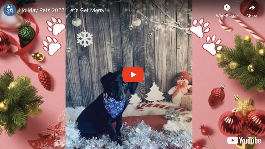Holiday Pets 2022: Let's Get Merry!