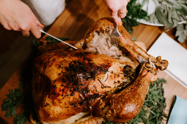 Quick Safety Tips: 15 Foods to Keep Away from Pets