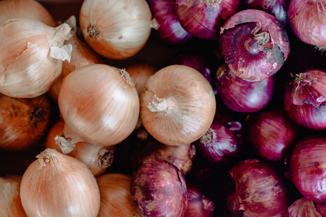 Quick Safety Tips: 15 Foods to Keep Away from Pets