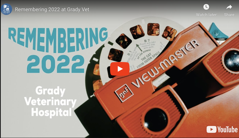 Remembering 2022 at Grady Vet