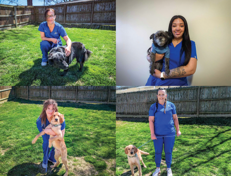 Introducing 4 New Veterinary Receptionists