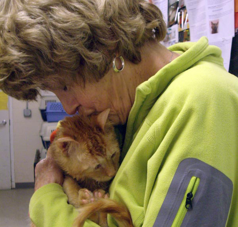 Volunteer with Cats & Dogs! Grady Veterinary Hospital Grady