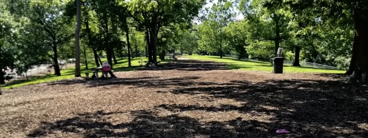 Dog Parks Cincinnati: Check Out 5 this Fall