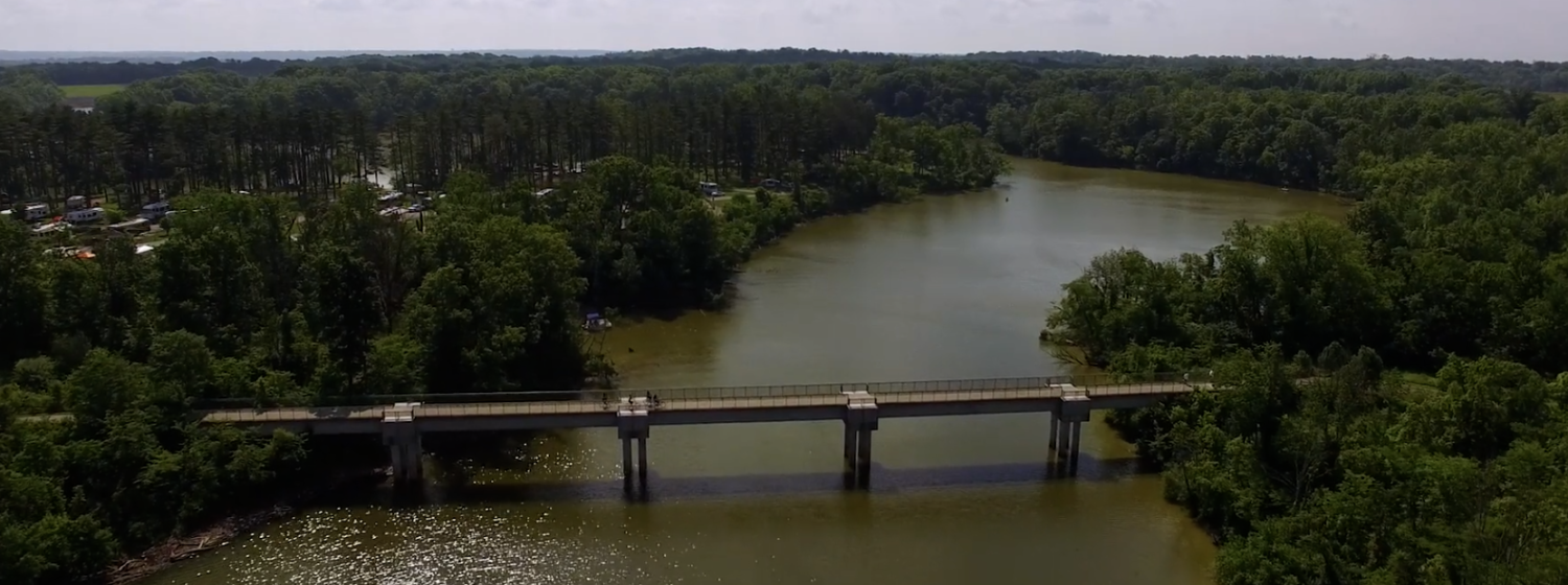 Dog Parks Cincinnati Check Out 5 this Fall Grady Veterinary Hospital