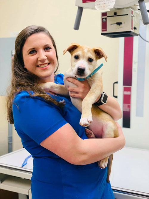 Get to Know Our Veterinary Technician Team