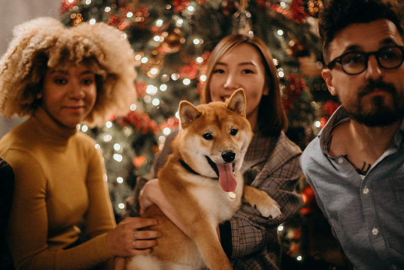 13 Common-Sense Pet Safety Tips for the Holiday Season