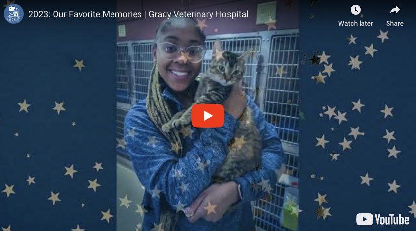 2023: Our Favorite Memories | Grady Veterinary Hospital