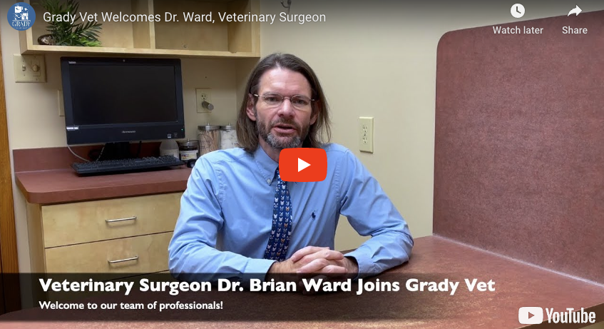 Grady Vet Welcomes Dr. Ward, Veterinary Surgeon