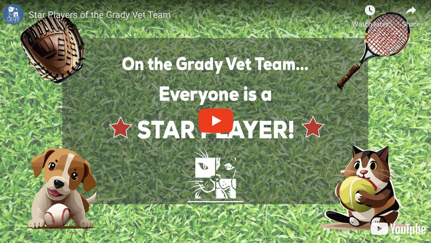 Star Players of the Grady Vet Team