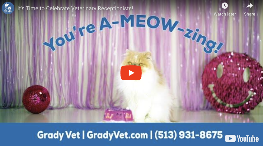 It's Time to Celebrate Veterinary Receptionists!