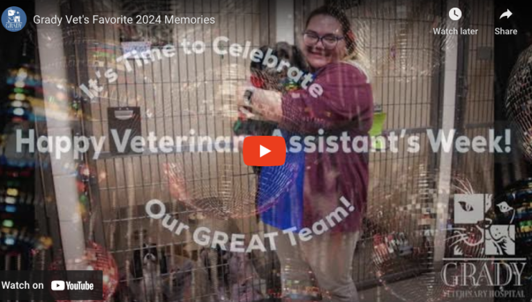 Grady Vet's Favorite 2024 Memories