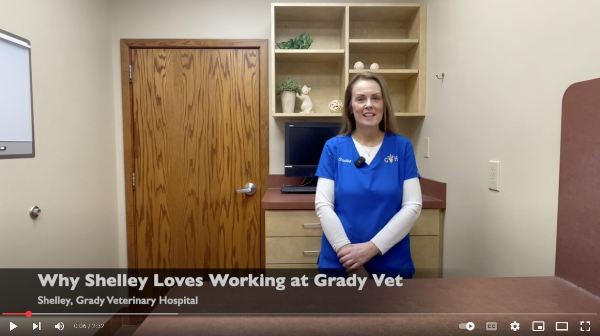 Why Shelley Loves Working at Grady Veterinary Hospital