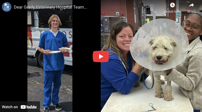 Dear Grady Veterinary Hospital Teamโฆ