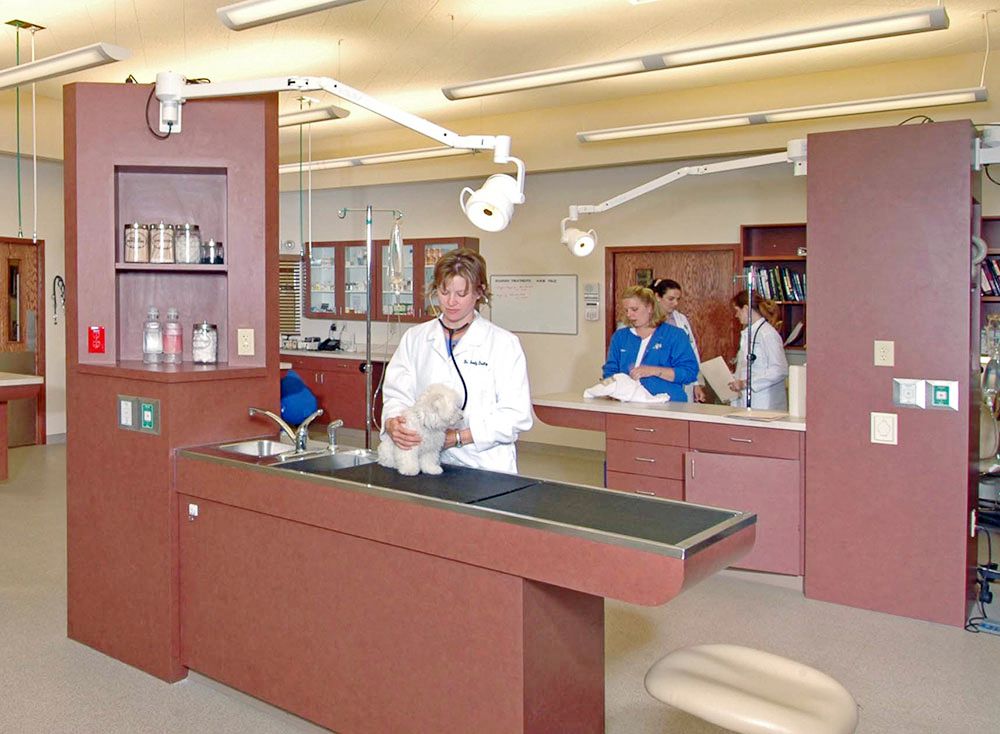 Sterile, state-of-the-art surgical suite.