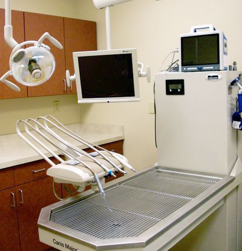 Our new dental suite has all of the latest technology. Digital radiographs help identify problem areas not seen during a routine exam.