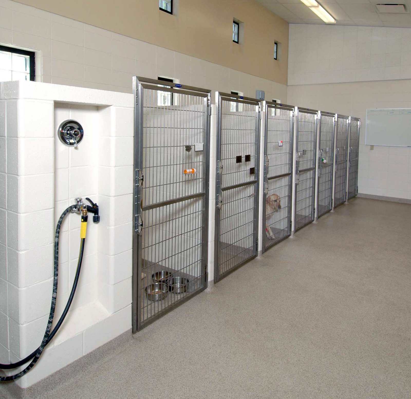 Clean, spacious and bright Boarding Area.