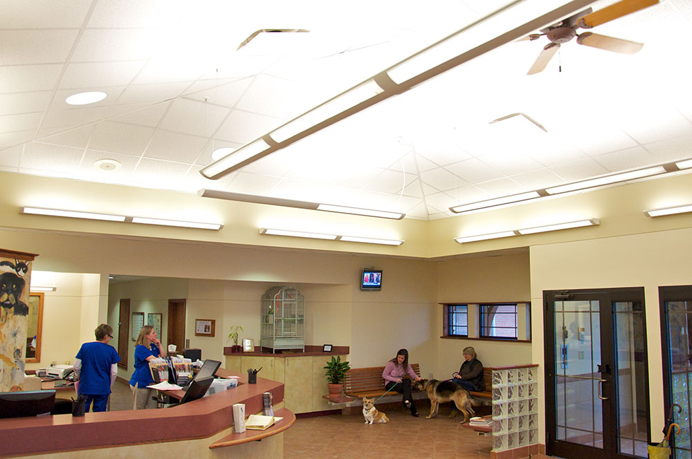 We try to make our large reception and waiting area comfortable for pets and their owners.
