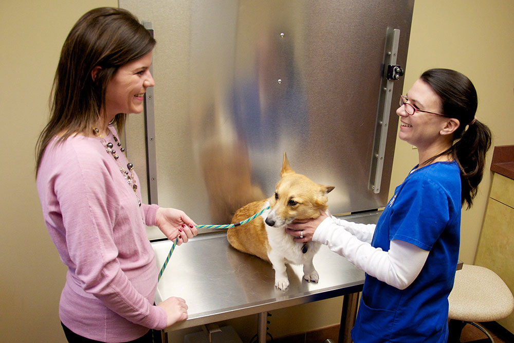 Ann introduces a new client to Grady Veterinary Hospital.
