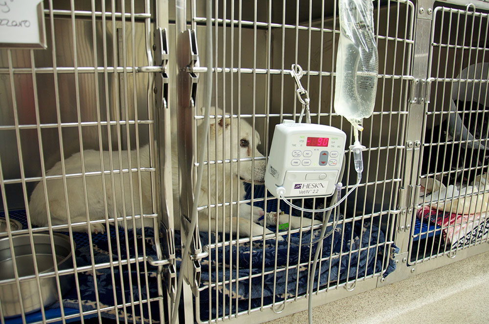 A patient rests comfortably in the ICU.