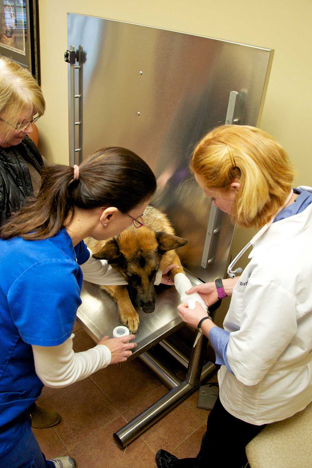 Kaleigh and Kristen are inserting an IV catheter.