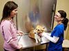 Grady Veterinary Hospital