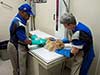 Grady Veterinary Hospital